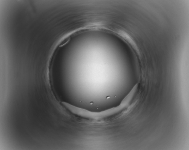 X0000089711336200707051655