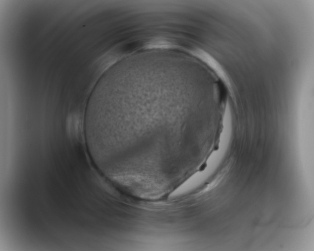 X0000089711337200707051655