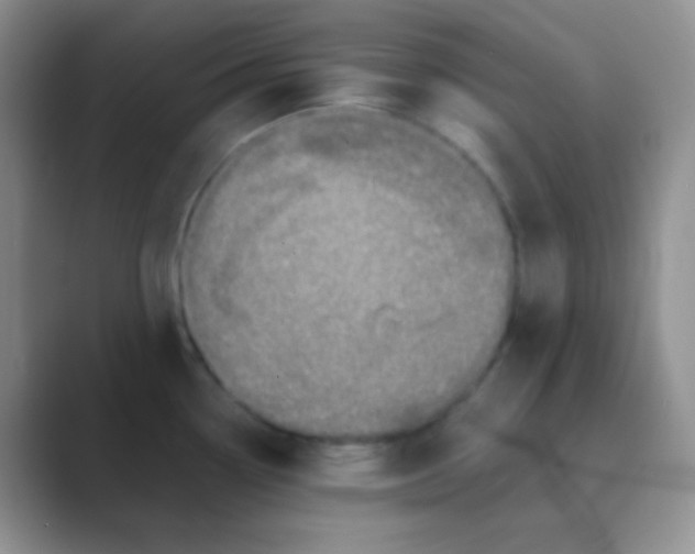 X0000089711338200707051655