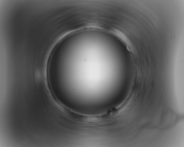 X0000089711339200707051655