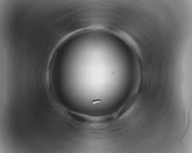 X0000089711340200707051655