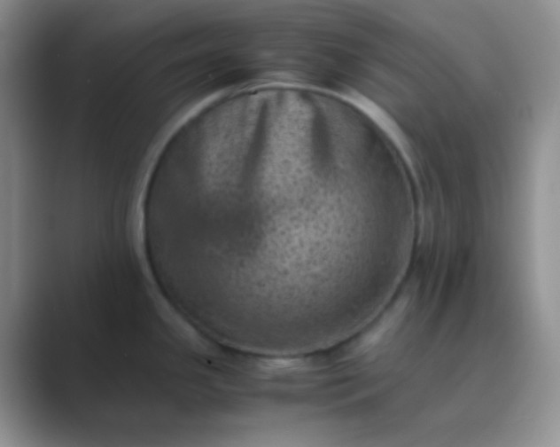 X0000089711341200707051655