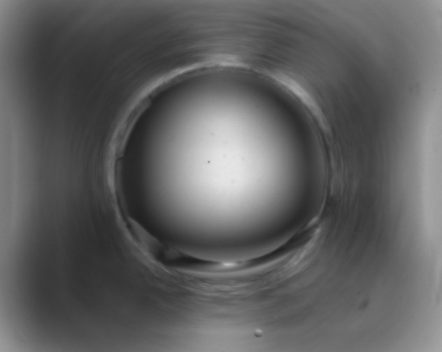 X0000089711342200707051655