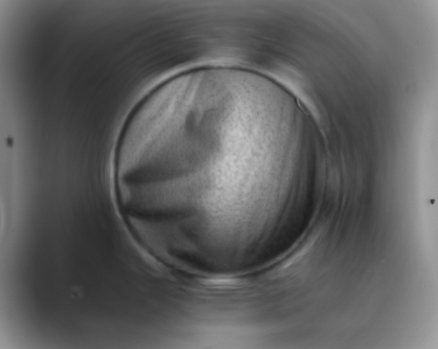 X0000089711343200707051655