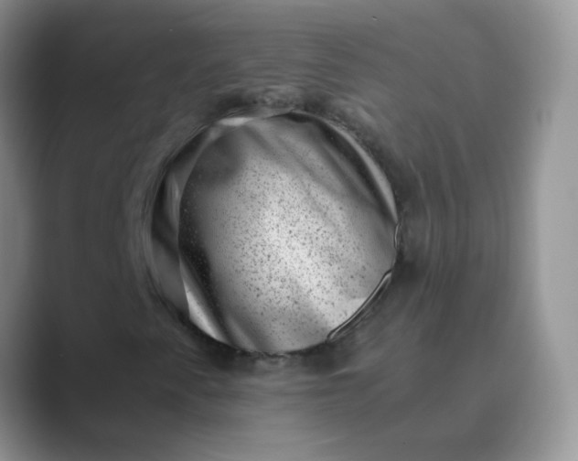 X0000089711345200707051654