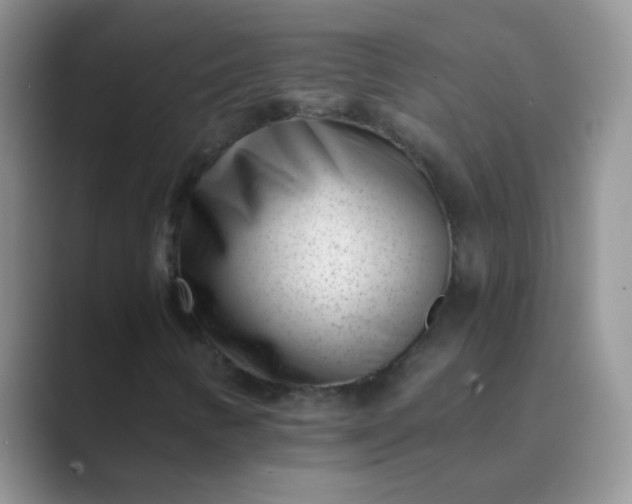 X0000089711346200707051654