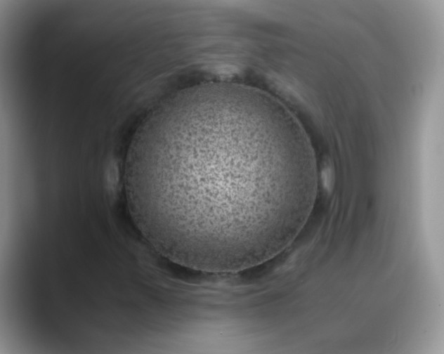 X0000089711347200707051654