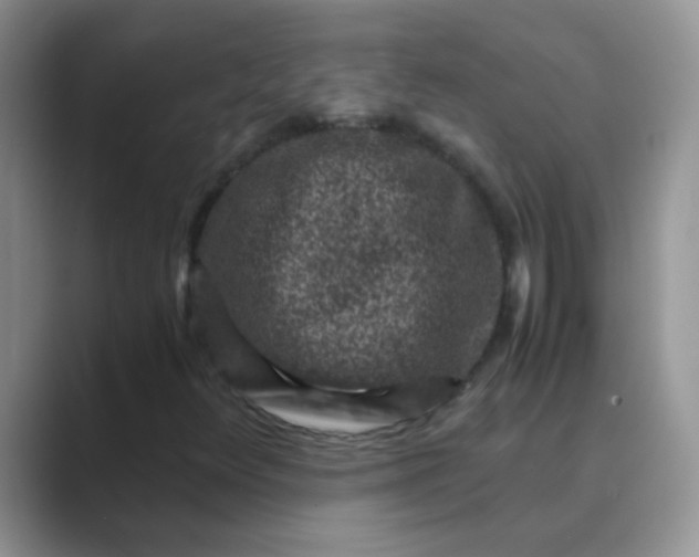 X0000089711348200707051654