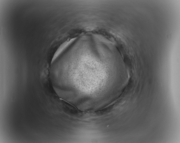 X0000089711349200707051654