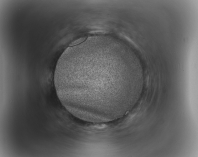 X0000089711351200707051654