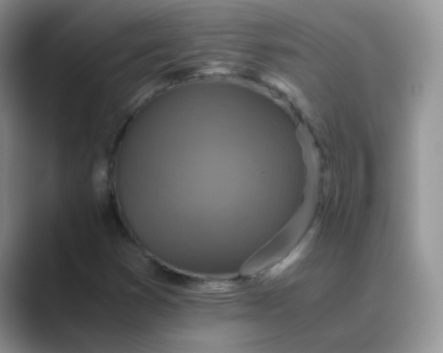 X0000089711353200707051654