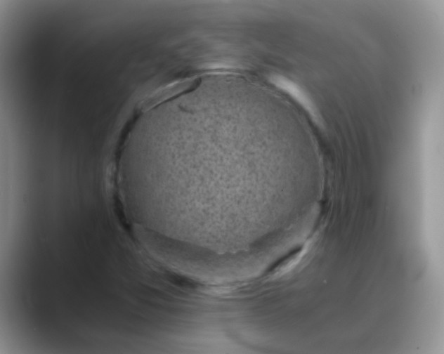 X0000089711357200707051654