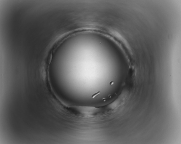 X0000089711360200707051654