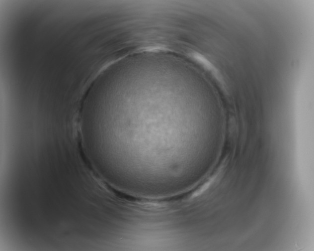 X0000089711361200707051654