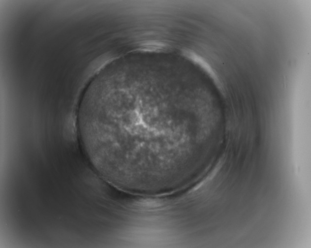 X0000089711362200707051654