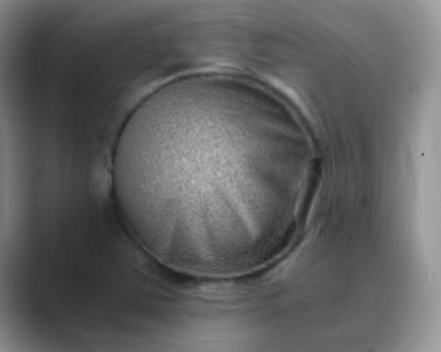 X0000089711363200707051654