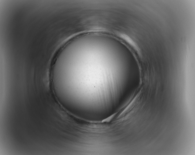 X0000089711364200707051654