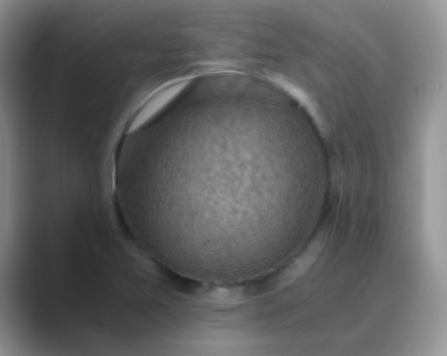 X0000089711365200707051654