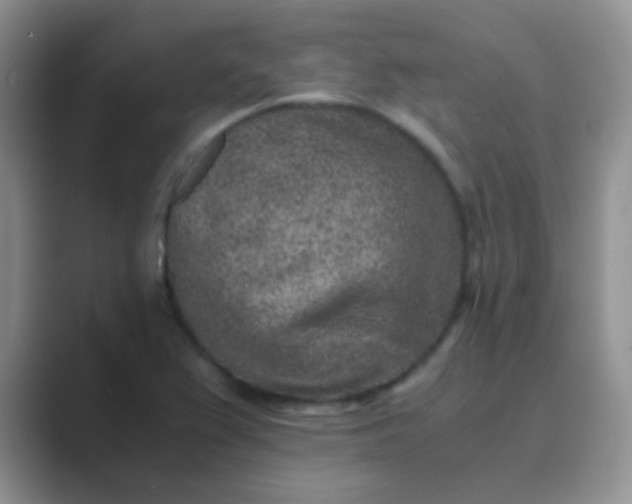 X0000089711367200707051654