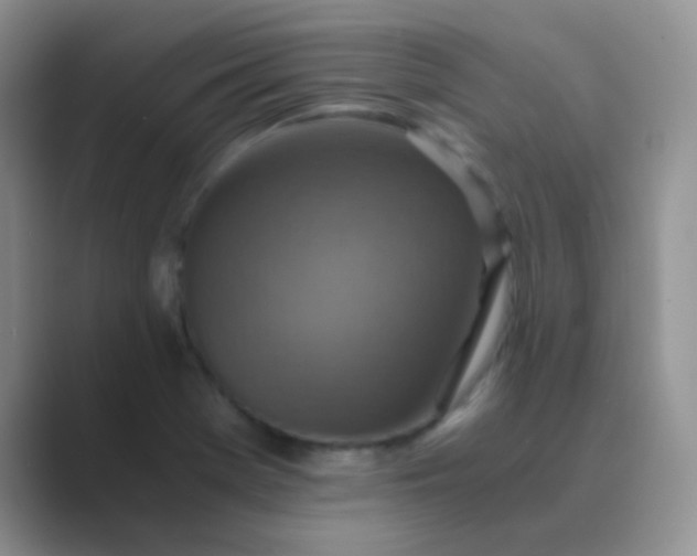 X0000089711369200707051654