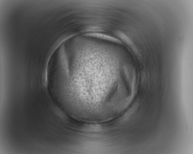 X0000089711370200707051654