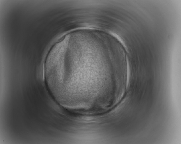 X0000089711371200707051654