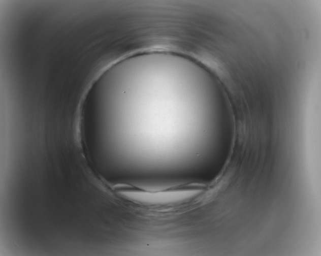 X0000089711374200707051654