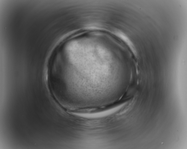 X0000089711376200707051654