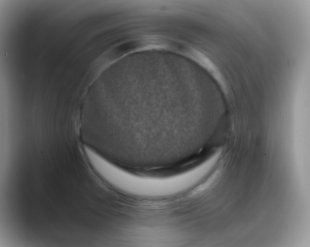 X0000089711377200707051654