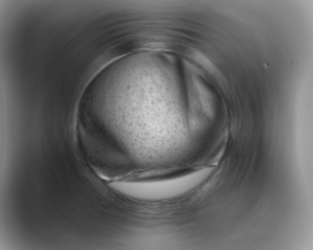 X0000089711378200707051654