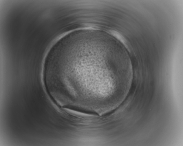 X0000089711379200707051654