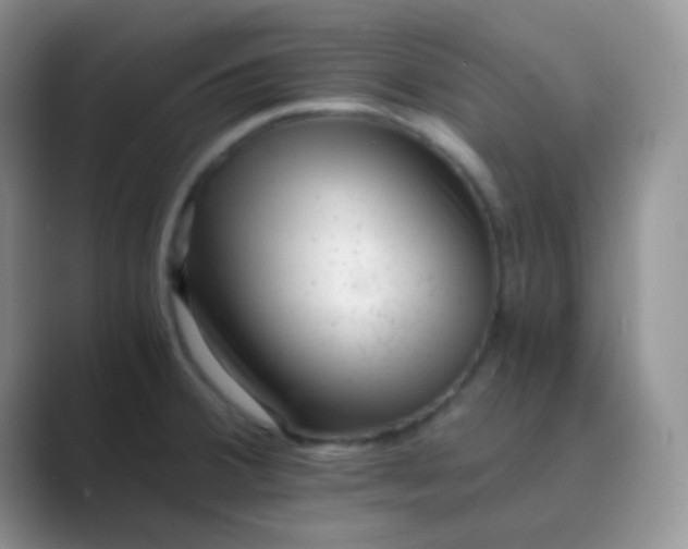 X0000089711380200707051654