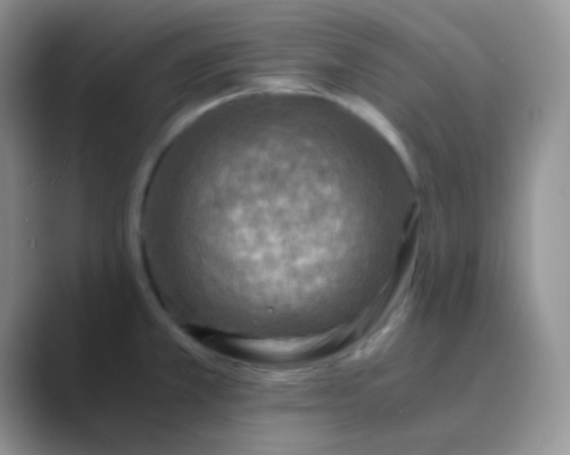 X0000089711381200707051654