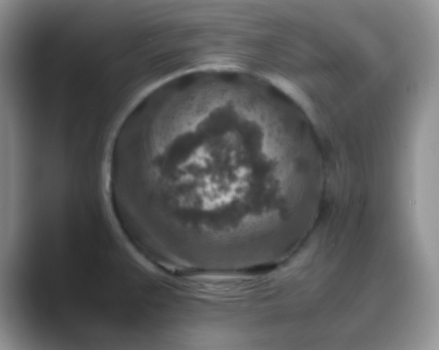 X0000089711383200707051654