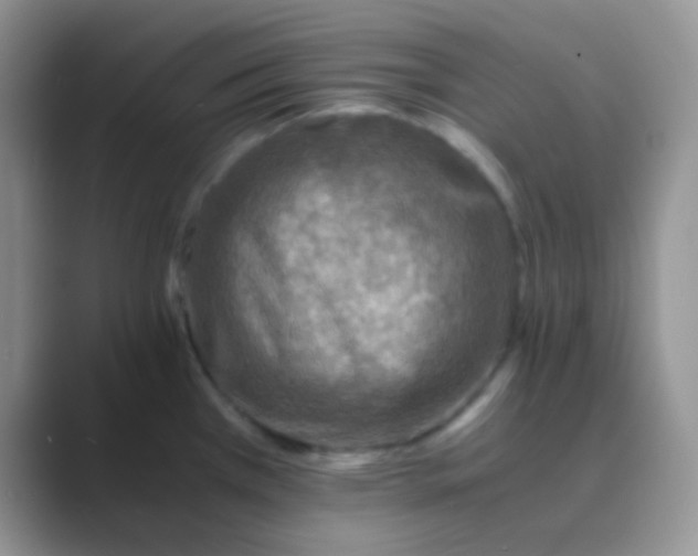 X0000089711385200707051654