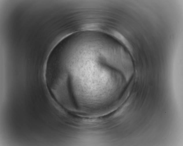 X0000089711386200707051654