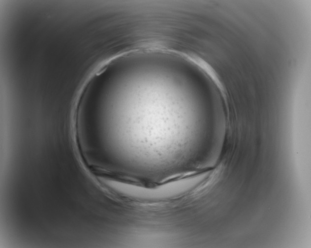 X0000089711389200707051654