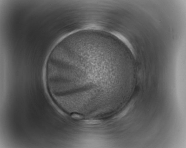 X0000089711391200707051654