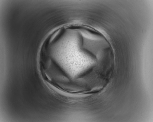 X0000089711392200707051654