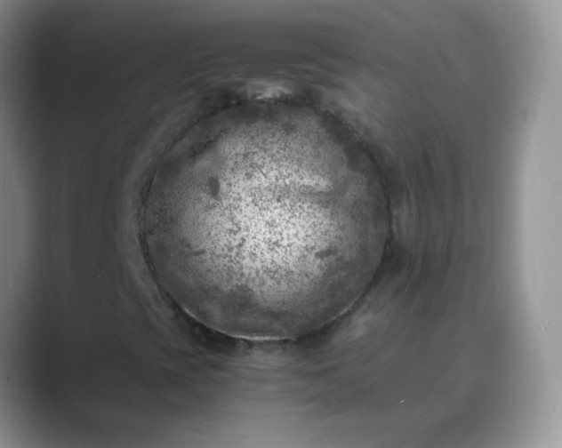 X0000089711393200707051653