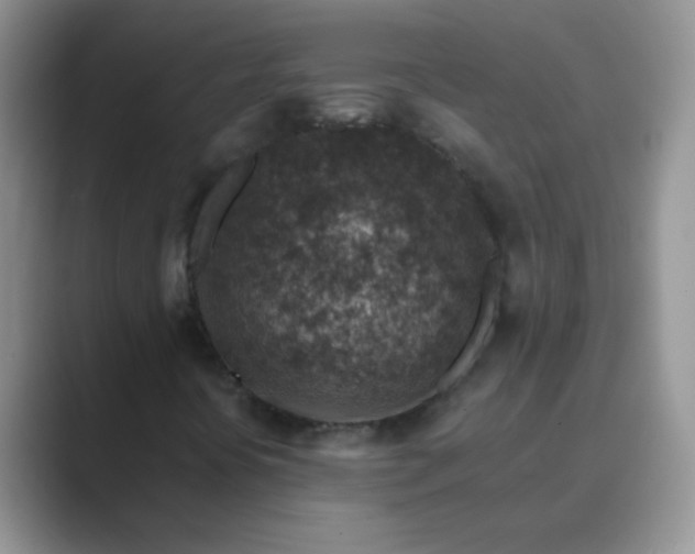 X0000089711394200707051653