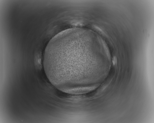 X0000089711396200707051653