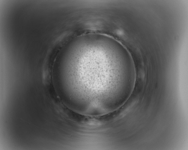 X0000089711398200707051653