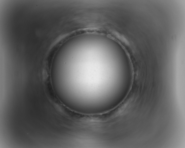 X0000089711400200707051653