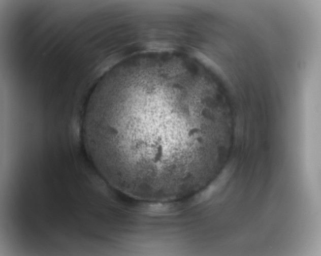 X0000089711401200707051653