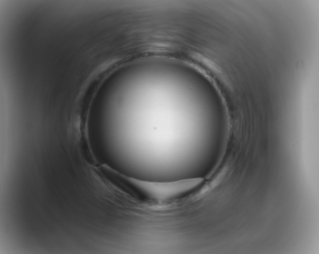 X0000089711402200707051653