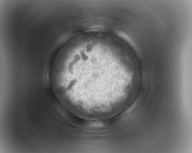 X0000089711403200707051653