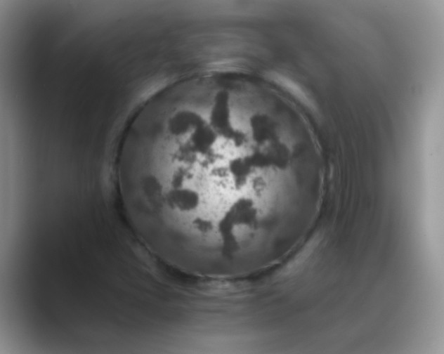 X0000089711405200707051653