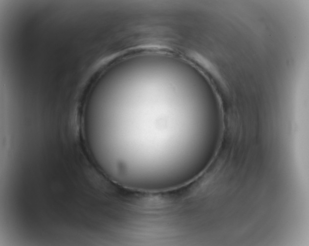 X0000089711408200707051653