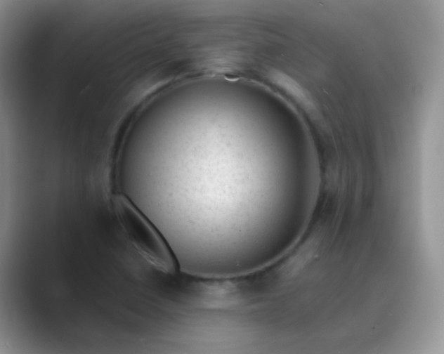 X0000089711410200707051653